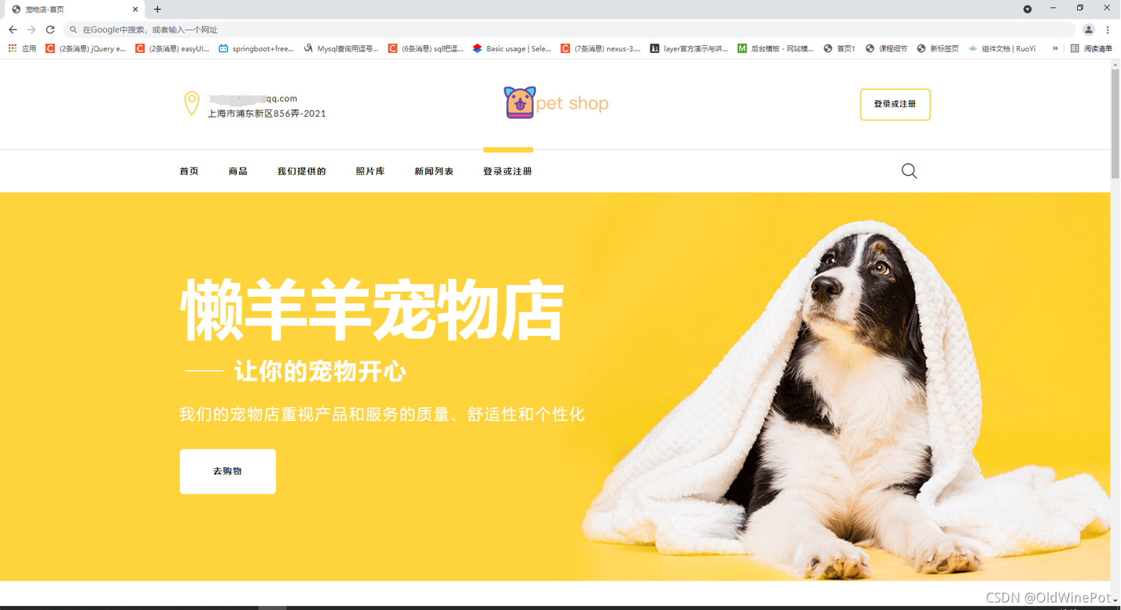 Java如何实现宠物店在线交易平台