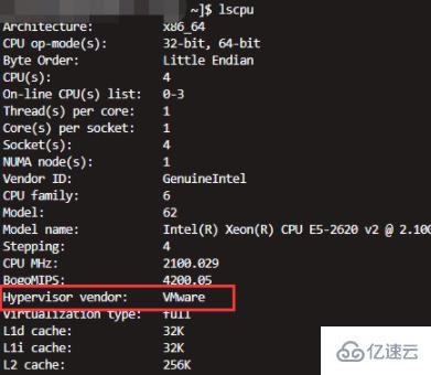 linux如何判断是否是虚拟机