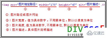 html中<img>图片标签元素怎么用