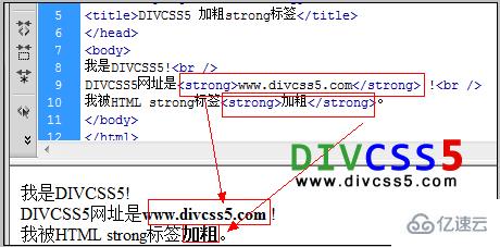 HTML <strong>加粗粗体标签怎么用