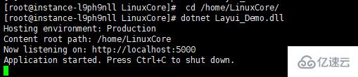 linux怎么部署.net Core项目