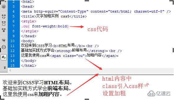 html中怎么用css设置文字粗体样式