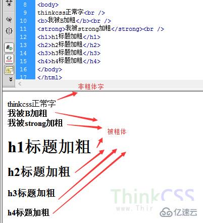 css怎么去掉加粗样式