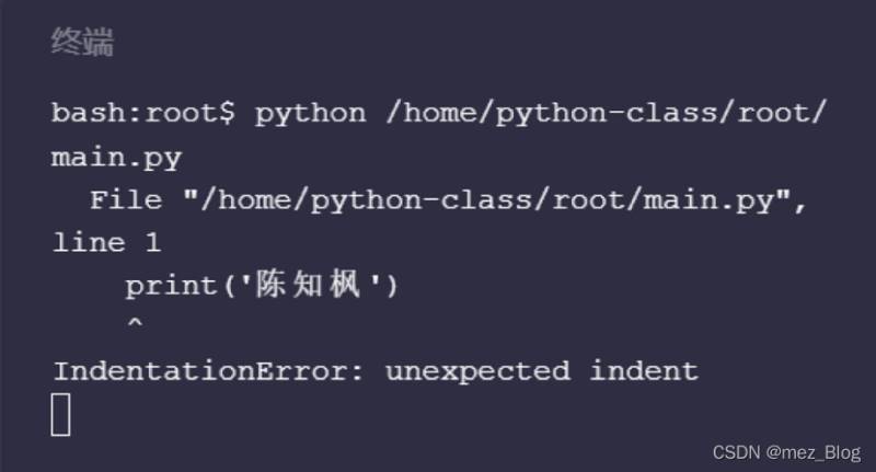 Python中怎么处理常见报错问题