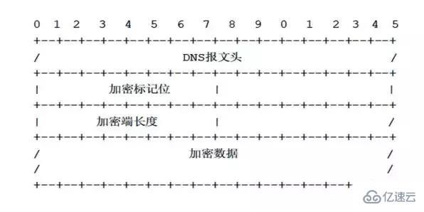 DNS服务基础知识点有哪些