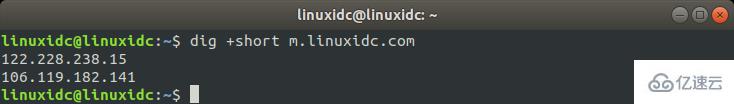 Linux中解析域名命令dig怎么用
