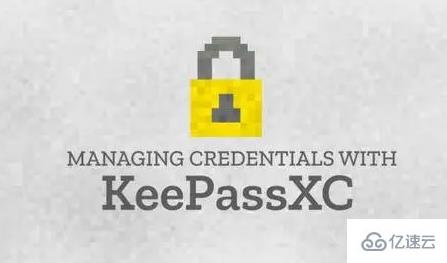 KeePassXC的使用技巧有哪些