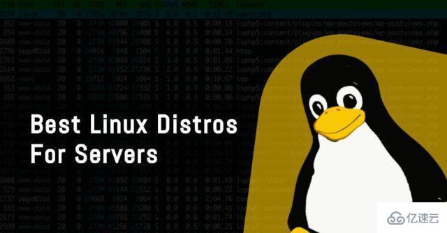 深受喜愛的Linux服務器發(fā)行版有哪些