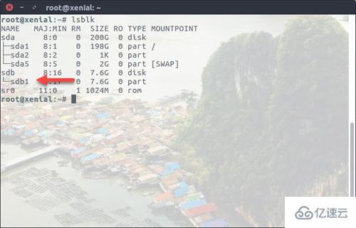 Linux下如何修复U盘驱动器