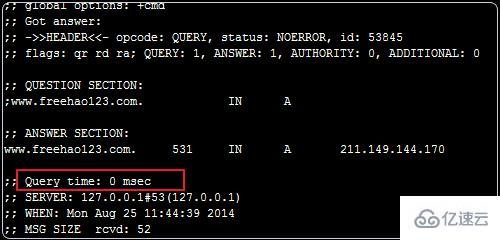 Linux下如何使用DNSmasq建本地DNS服务器