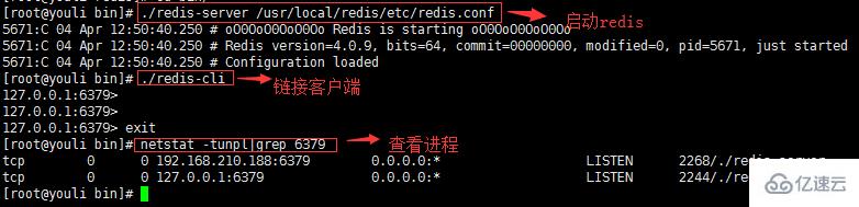 Linux下如何部署redis