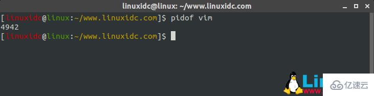 Linux pidof命令怎么用