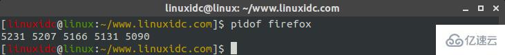 Linux pidof命令怎么用