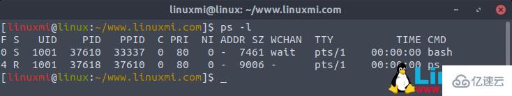 Linux ps命令的使用方法有哪些