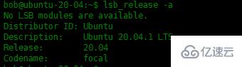 Linux系统下如何安装DNS查询命令行工具Dog