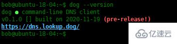 Linux系统下如何安装DNS查询命令行工具Dog