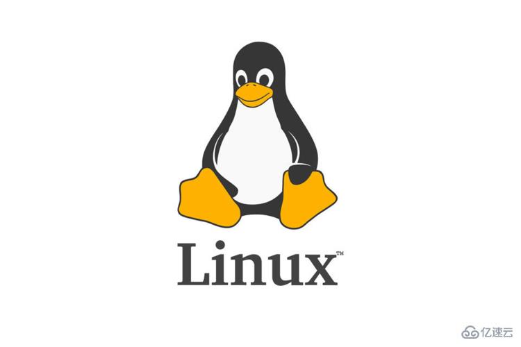 Linux如何分配特殊的文件权限