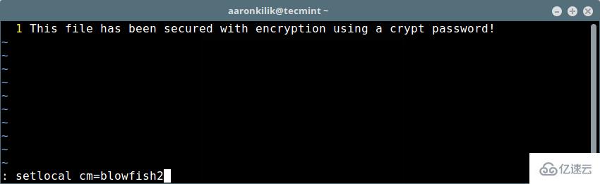 Vim怎么给文件加密