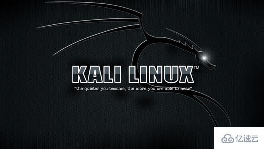 kali linux如何安装