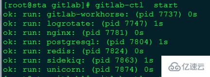 如何安裝使用GitLab