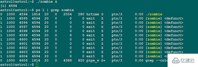 Linux中如何处理僵尸进程