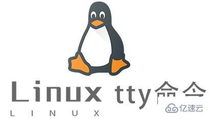 Linux中如何使用tty命令