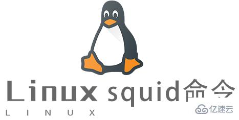 Linux中如何使用squid命令