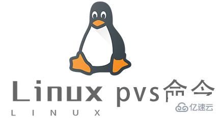 Linux常用命令pvs怎么用