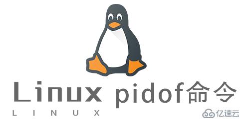 Linux常用命令pidof怎么用