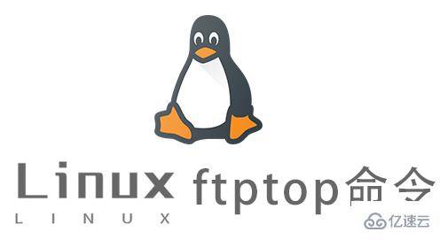 Linux的ftptop命令怎么使用