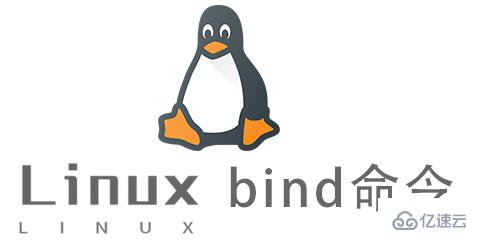 Linux的bind命令怎么使用