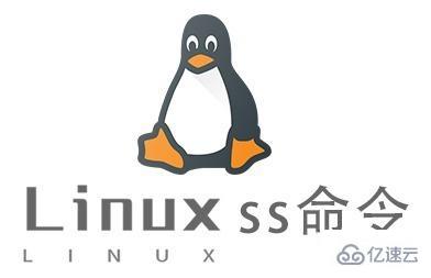 Linux中ss命令怎么用