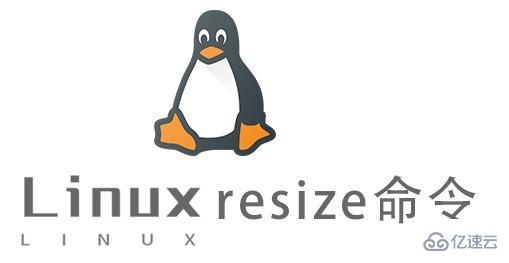 Linux resize命令怎么用