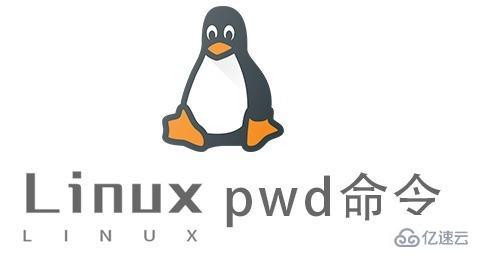 Linux的pwd命令有什么用
