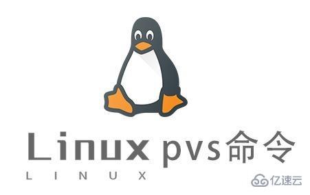 Linux中pvs命令怎么用