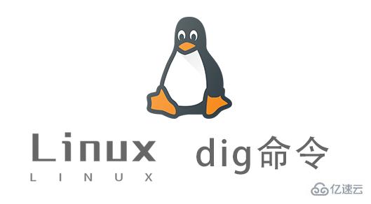 Linux中dig命令怎么用