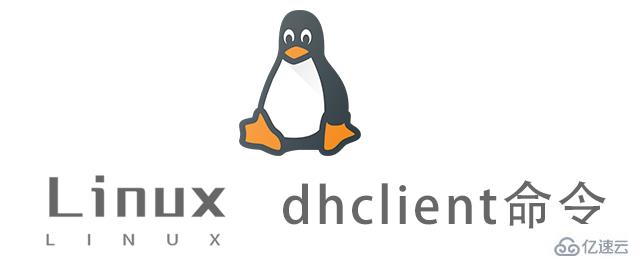 Linux中dhclient命令怎么用