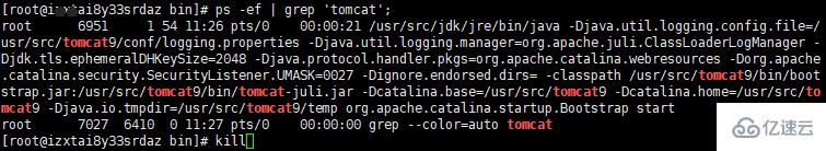 Linux如何启动tomcat服务