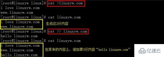 Linux系统cat命令怎么用