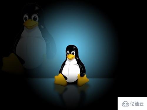 Linux怎么查看文件系统类型