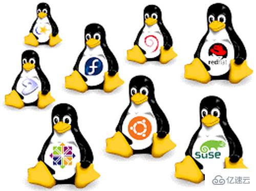 linux开发要学哪些知识点