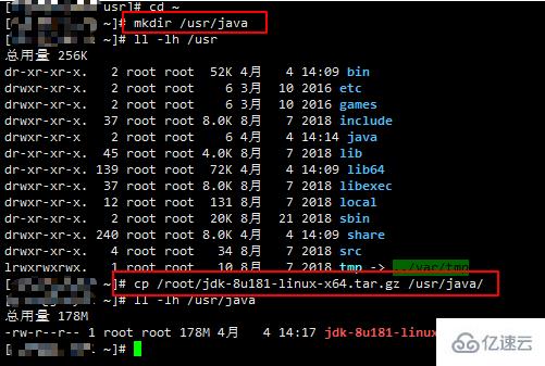 Linux系统怎么部署web项目