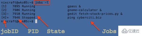 Linux系統(tǒng)jobs命令怎么用