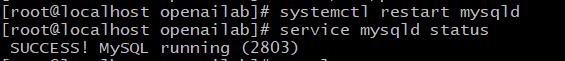 Linux如何查看mysql服务是否启动