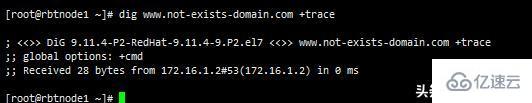 Linux系统查看DNS命令有哪些