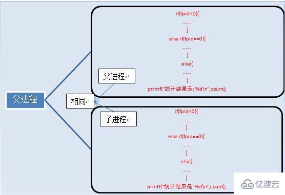 Linux系统中fork函数的具体使用方法是什么