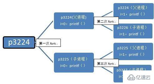 Linux系统中fork函数的具体使用方法是什么