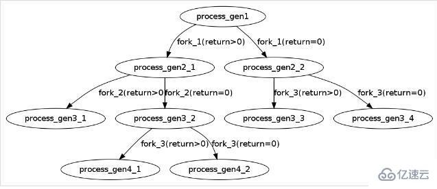 Linux系统中fork函数的具体使用方法是什么