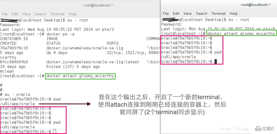 Linux系统怎么进入docker容器