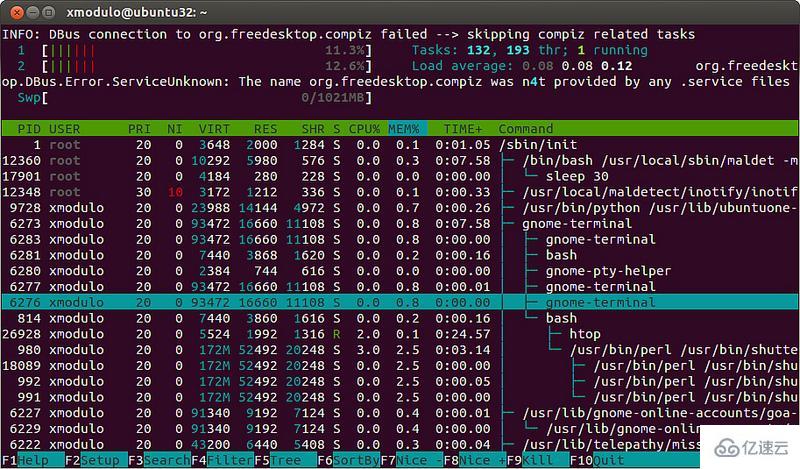 Linux系统怎么查看内存